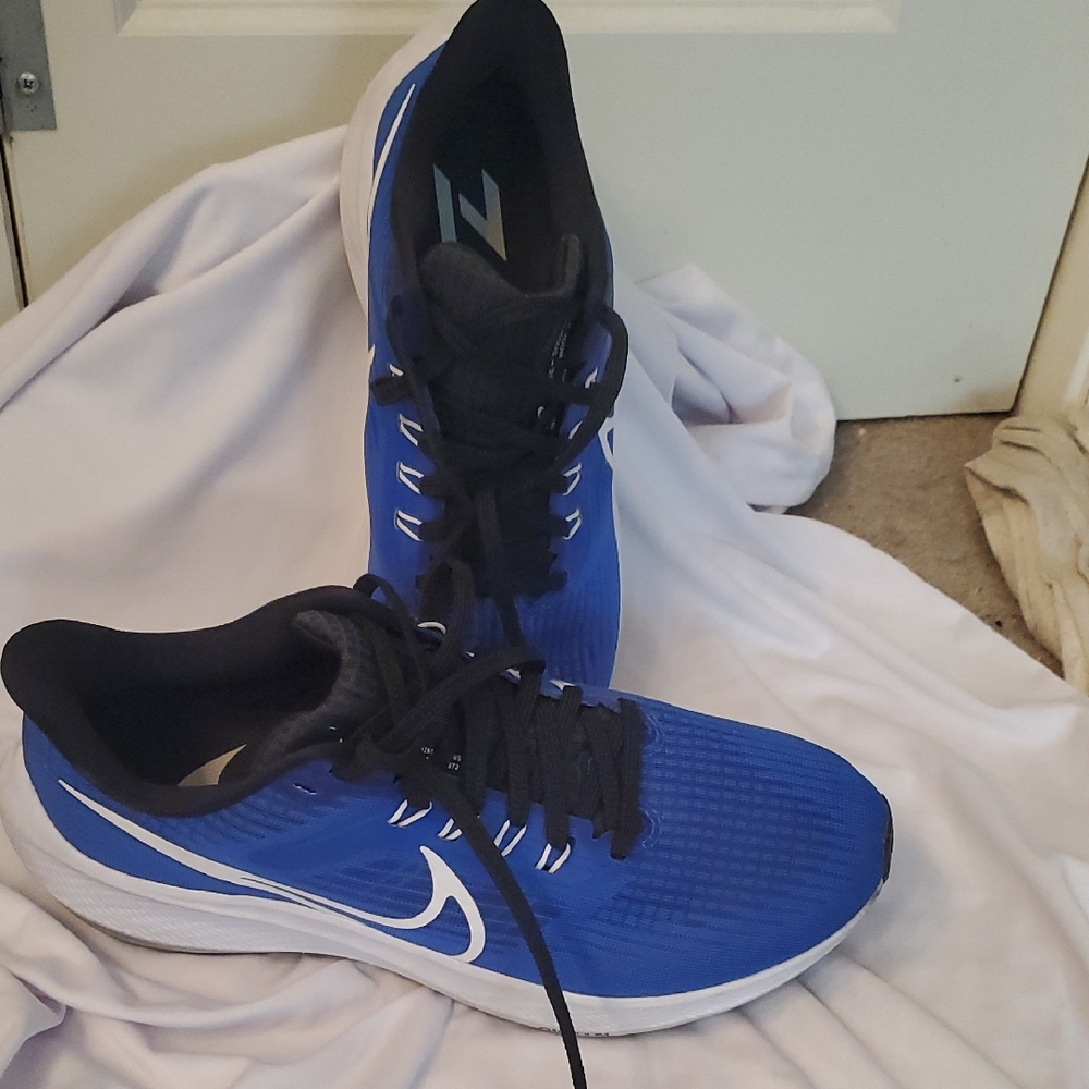 Nike Men's Air Zoom Pegasus 39 Royal Blue Athletic Sneakers